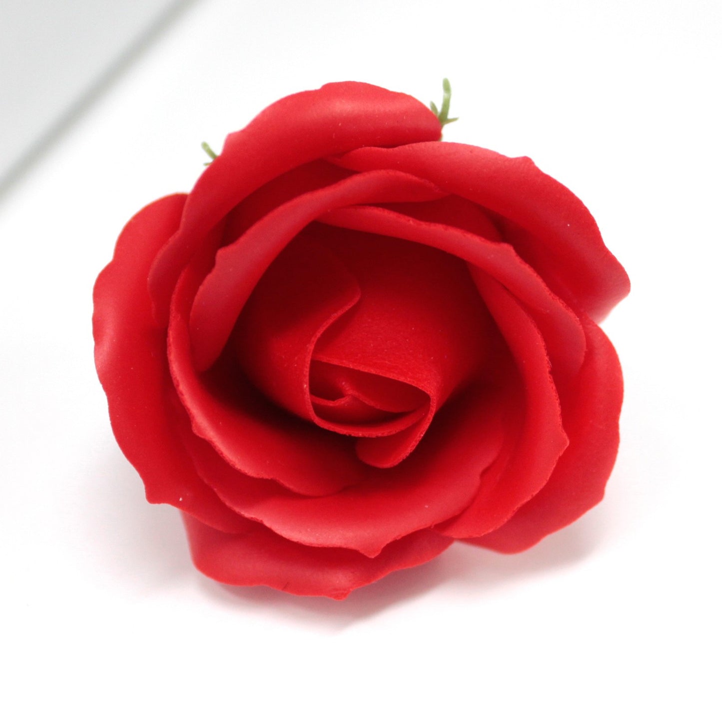 Rose Rouge